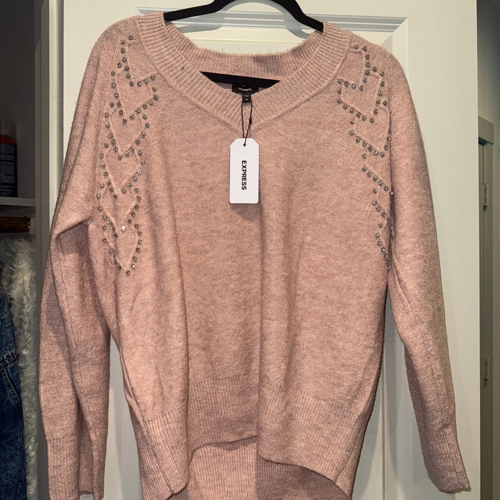 Express Blush Pink Crew Neck Sweater